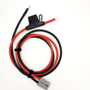 Разъем 50А с кабелем питания 6AWG и встроенным водонепроницаемым держателем предохранителя - Product Image 1