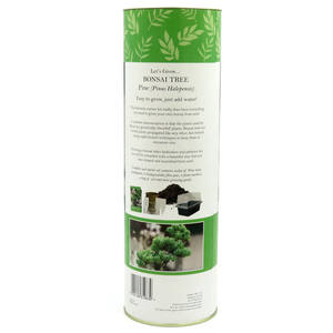 <span class=keywords><strong>Kit</strong></span> Completo de Bonsái al por Mayor de Fábrica, Cultiva tu Propio Bonsái de Chile y Cactus para Jardín Exterior, Ideal para Principiantes y Profesionales, para Regalar - Product Image 4