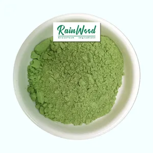 Rainwood liefert hochwertigen Moringa-Blattpulver-Extrakt auf Lager Moringa-Extrakt mit bestem Preis und schneller Lieferung