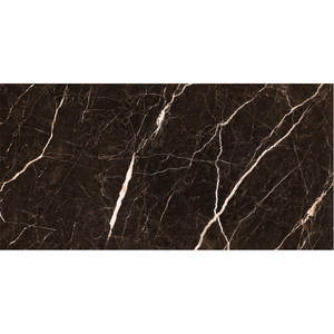 Piastrella <span class=keywords><strong>in</strong></span> Porcellana Lucida Marrone 60x120cm (24x48 pollici) Design Moderno, Lastra Quadrata Lucida per Pavimenti Interni - Product Image 5