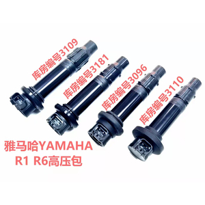 Bobine d'allumage de moto pièces du système d'allumage EFI bobine d'allumage de moto pour YAMAHA Harley Davidson BMW K1600 CFMOTO 450 - Product Image 2