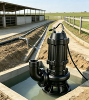 Pompe à eau de rivière, pompe submersible en fonte pour eaux usées, pour l'irrigation des eaux de surface en agriculture, débit de 2 pouces, 1 CV