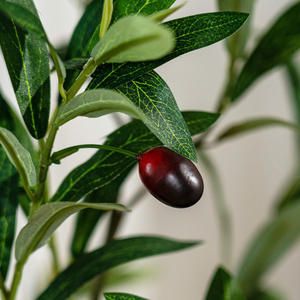 Simulation d'un <span class=keywords><strong>grand</strong></span> <span class=keywords><strong>olivier</strong></span> artificiel personnalisé Décoration de restaurant d'intérieur en plastique Faux <span class=keywords><strong>grand</strong></span> <span class=keywords><strong>olivier</strong></span> artificiel - Product Image 2