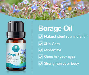 Óleos Carreadores Prensados a Frio Mais Vendidos para Massagem e Facial: Óleo de Amêndoa, Damasco, Oliva, Borrego, Linhaça, Mamona, Abacate, Camélia e Coco - Product Image 4