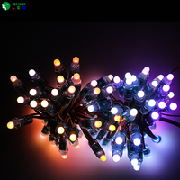 Modul Lampu Pixel LED RGB Lanskap PVC SHIJI 12mm DC5V IP68 Tahan Air Dapat Diredupkan Bersertifikasi CE CRI 85 Lampu String