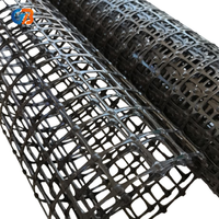 Fabricant de géogrilles uniaxiales en polypropylène pour le renforcement de la base des allées et la stabilisation des sols
