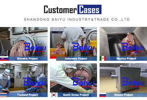 Máquina profesional para hacer salchichas con aprobación CE Baiyu, <span class=keywords><strong>picadora</strong></span> de carne, máquina <span class=keywords><strong>picadora</strong></span> de carne para carnicería y fábrica de procesamiento de alimentos - Product Image 5