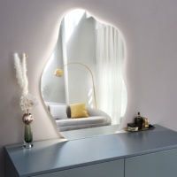 Miroir de douche désembueur irrégulier Miroir de salle de bain à LED pour la maison/hôtel