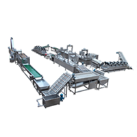 Équipement automatique de fabrication de chips de pommes de terre / Ligne de production de frites