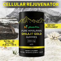 Penyerapan tinggi Shilajit Gummy Pectin berbasis campuran Vegan ramah alami suplemen pribadi Label OEM Non GMO