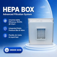 Boîtier de sortie d'air HEPA à prix compétitif pour systèmes de ventilation et de filtration d'air pour conduits de plafond de salle blanche