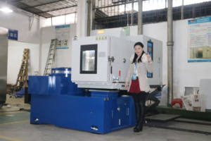 Titreşimli Kombine Sıcaklık ve İklim Odası - Product Image 3