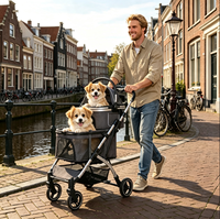 Poussette pour animaux de compagnie à double étage, pliable, légère, réglable, grande capacité, avec chariot détachable pour plusieurs chats et chiens