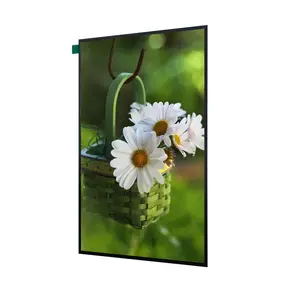 Preço competitivo OEM tela painel alta resolução 10,1 polegadas touch screen tft lcd display