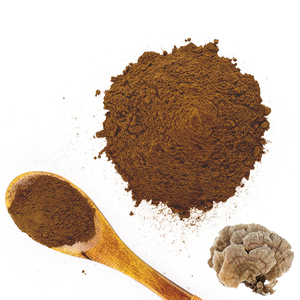 100% чистый растительный экстракт пищевой высококачественный 10:1 20:1 облачный Грибной Порошок - Product Image 3