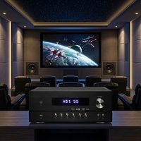 Système de cinéma maison haut de gamme 7.1 canaux : Solution complète incluant enceintes, amplificateurs, traitement du signal et infrastructure