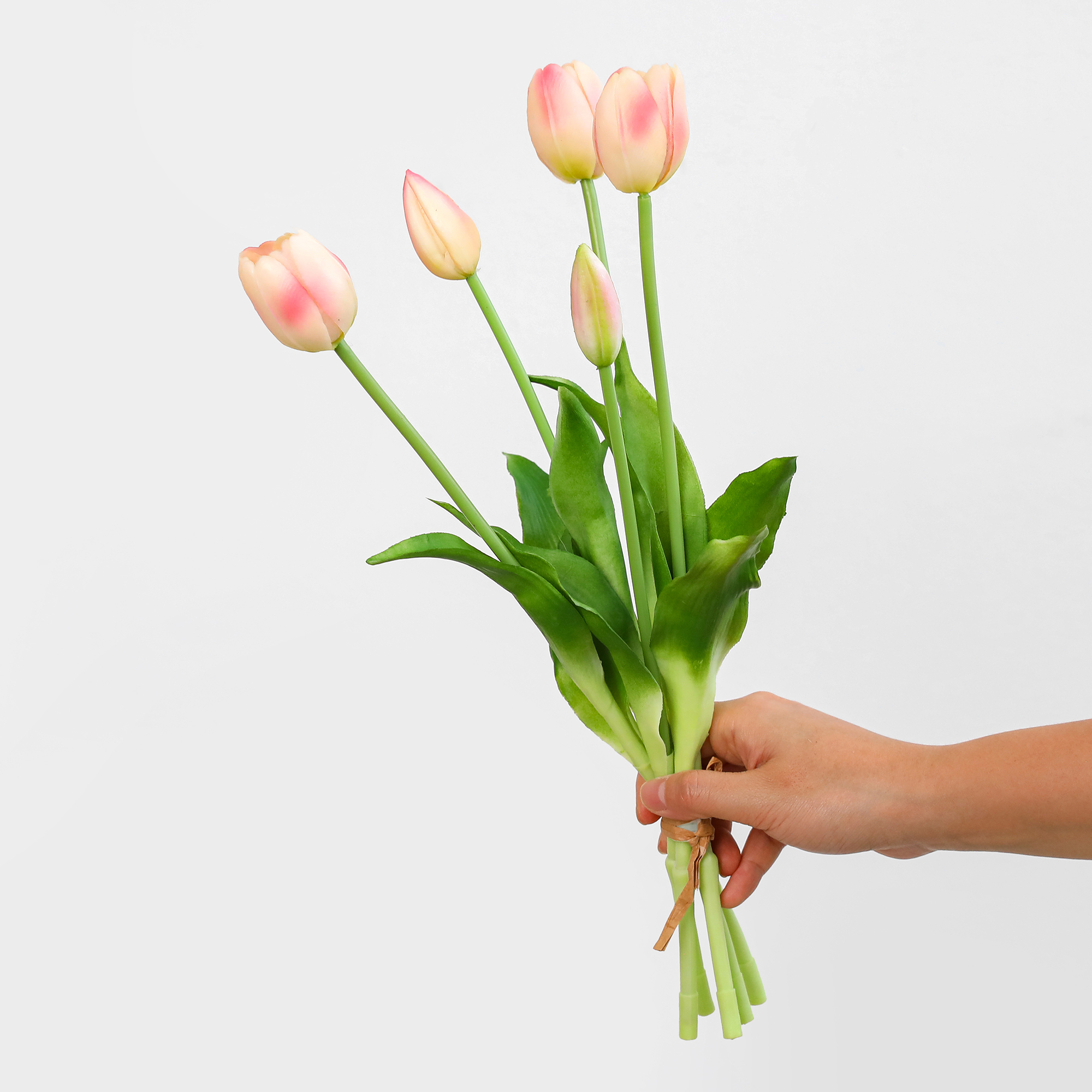 Rosa nudo