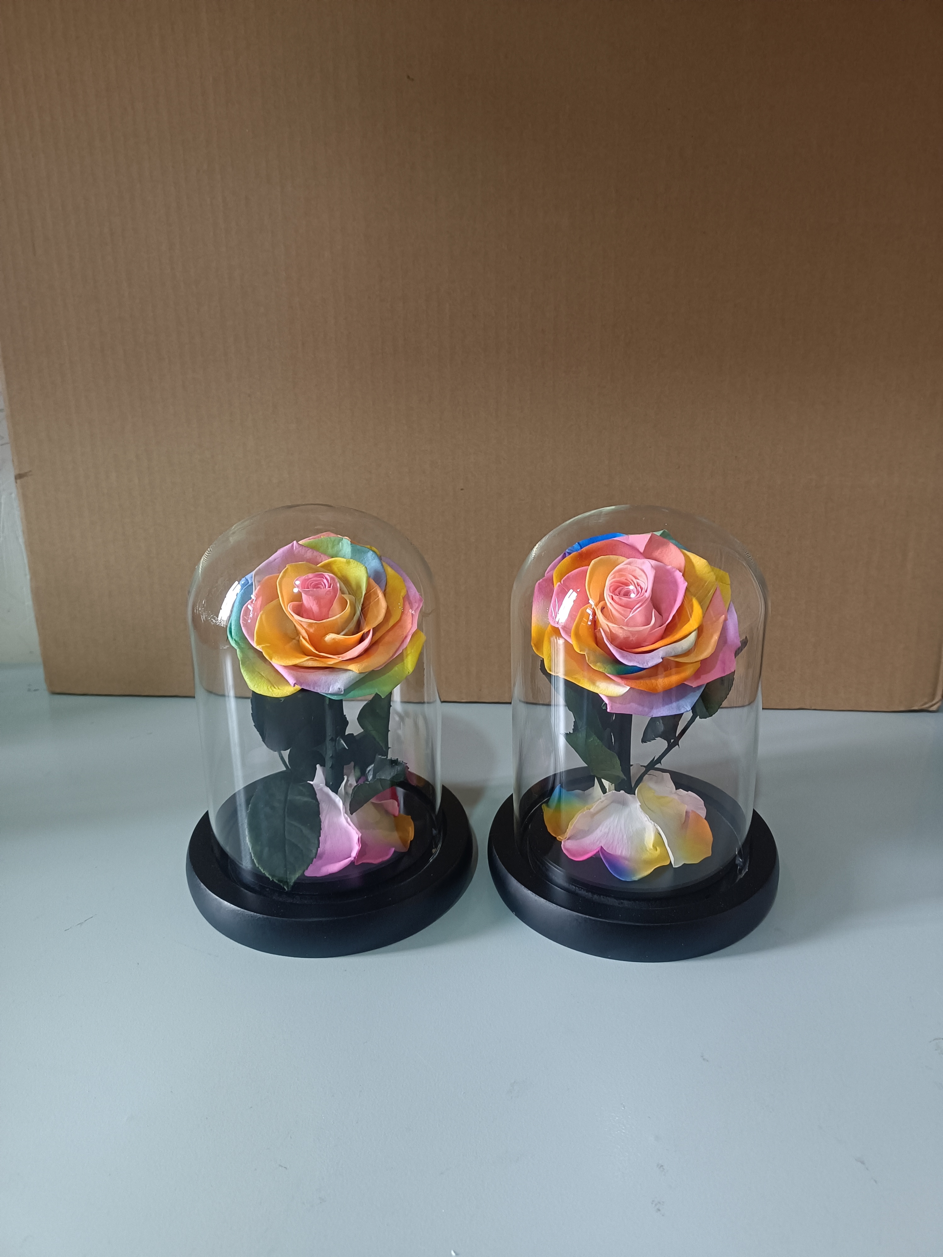 arc-en-ciel 10*15cm