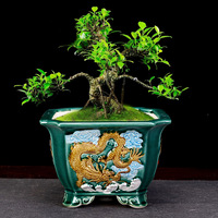 Pot à Bonsaï en Céramique Style Antique avec Relief 3D Dragon et Nuage, Pot de Fleurs Rectangulaire et Carré Émaillé pour Décoration de Jardin et Cour