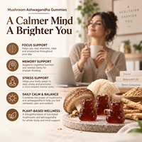 Complément alimentaire OEM pour la concentration cérébrale, Lion's Mane, Reishi, champignons pour la santé quotidienne, gommes à mâcher à l'ashwagandha
