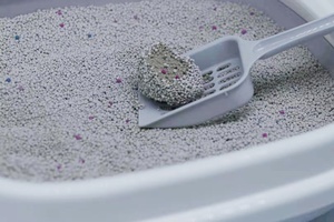 Lettiera per Gatti in Bentonite Sferica 5L, Agglomerante Rapido, Ecologica, Profumata alla Lavanda, a Bassa Polvere, 99% Senza Polvere, Altamente Assorbente, Gratuita - Product Image 4