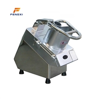 FXL Multifunctionele Elektrische Groente- en Fruit Snijder Kool- en Uiensnijder Groentesnijmachine voor het maken van salades