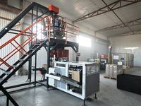 Machine d'emballage automatique Focuspack PLC pour alignement et remplissage de vis longues, pour emballage de quincaillerie et fixations dans des cartons en papier