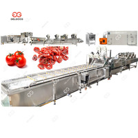 Droogfruit en -groente drooglijn, chilipeper verwerkings- en droogmachine