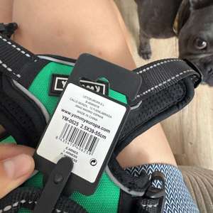 Imbracatura per cani Yommy con pettorina regolabile, taglia 2.5 (39-55 cm) - Product Image 4