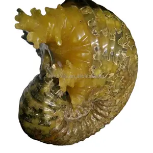 Fossile di Ammonite a Forma di Vite in Corno Naturale Decorativo all'Ingrosso - Product Image 1
