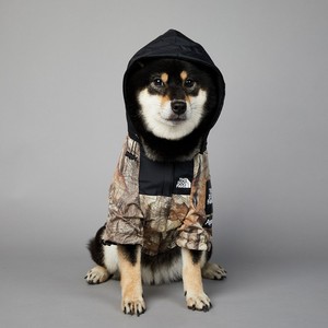 Qingjing, ventas al por mayor, marca Fasion, lujo, fresco, impermeable, la cara del perro, chaqueta cortavientos para mascotas, ropa, impermeable - Product Image 3