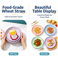 Set ronde borden van tarwehalm |   BPA-vrij, magnetronbestendig, stapelbaar serviesgoed |   Fruitensalade-snackbordjes in meerdere kleuren, bottenbordje