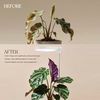 Lampe LED pour plantes d'intérieur, bord de pot rond, 10W 3500K avec adaptateur, variateur 5 niveaux, haute efficacité, OEM ODM, culture de plantes