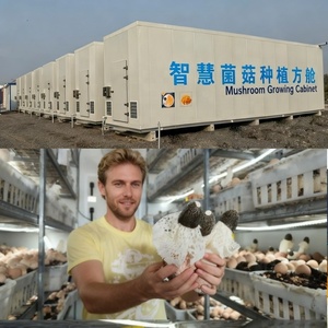 Chambre de culture de champignons modulaire, conteneur de culture, armoire de plantation, chambre de culture, serre de culture de champignons, usine - Product Image 3