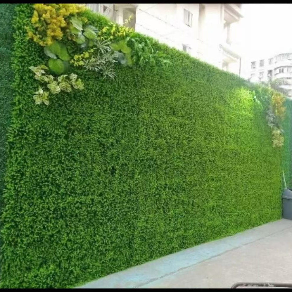 One grass, one tree per square meter