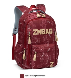 Mochila escolar de diseñador para niños con cremallera, bolsa de estudiante para niños, bolsa de estudiante de aula para estudiantes, sus necesidades escolares - Product Image 2