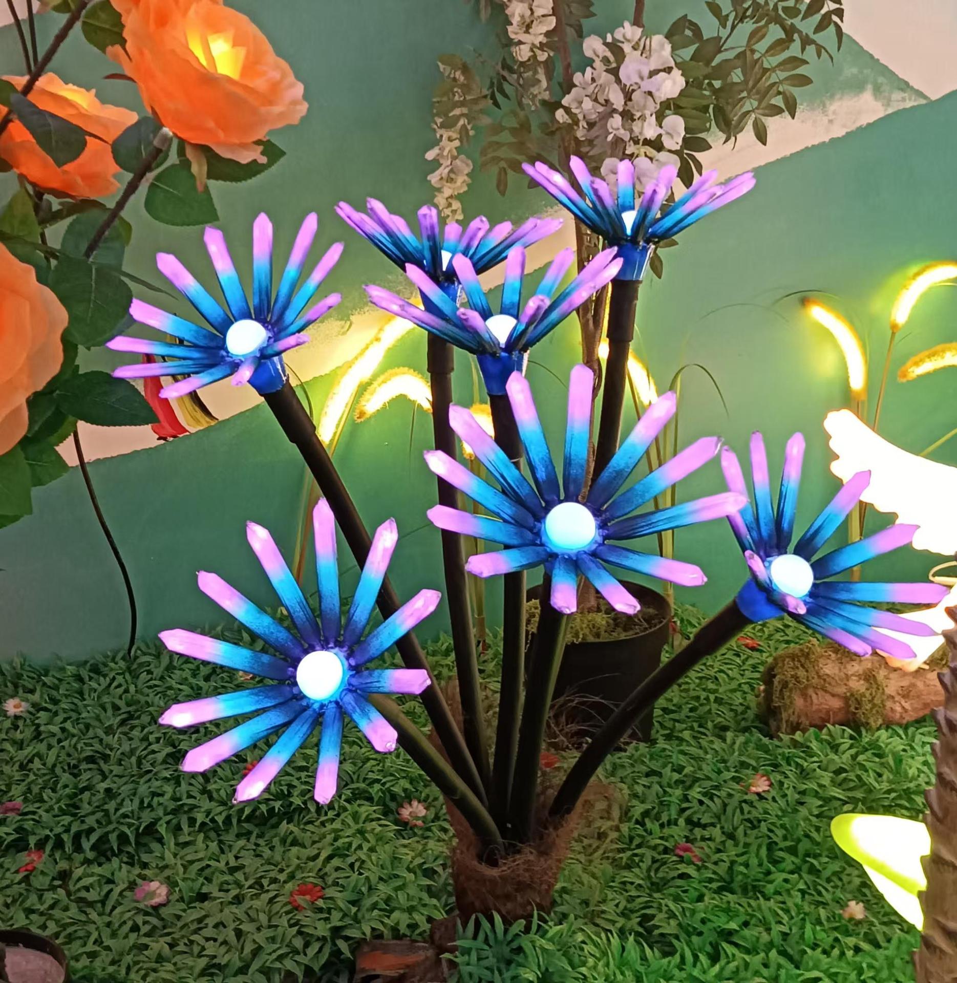 Dream chrysanthemum