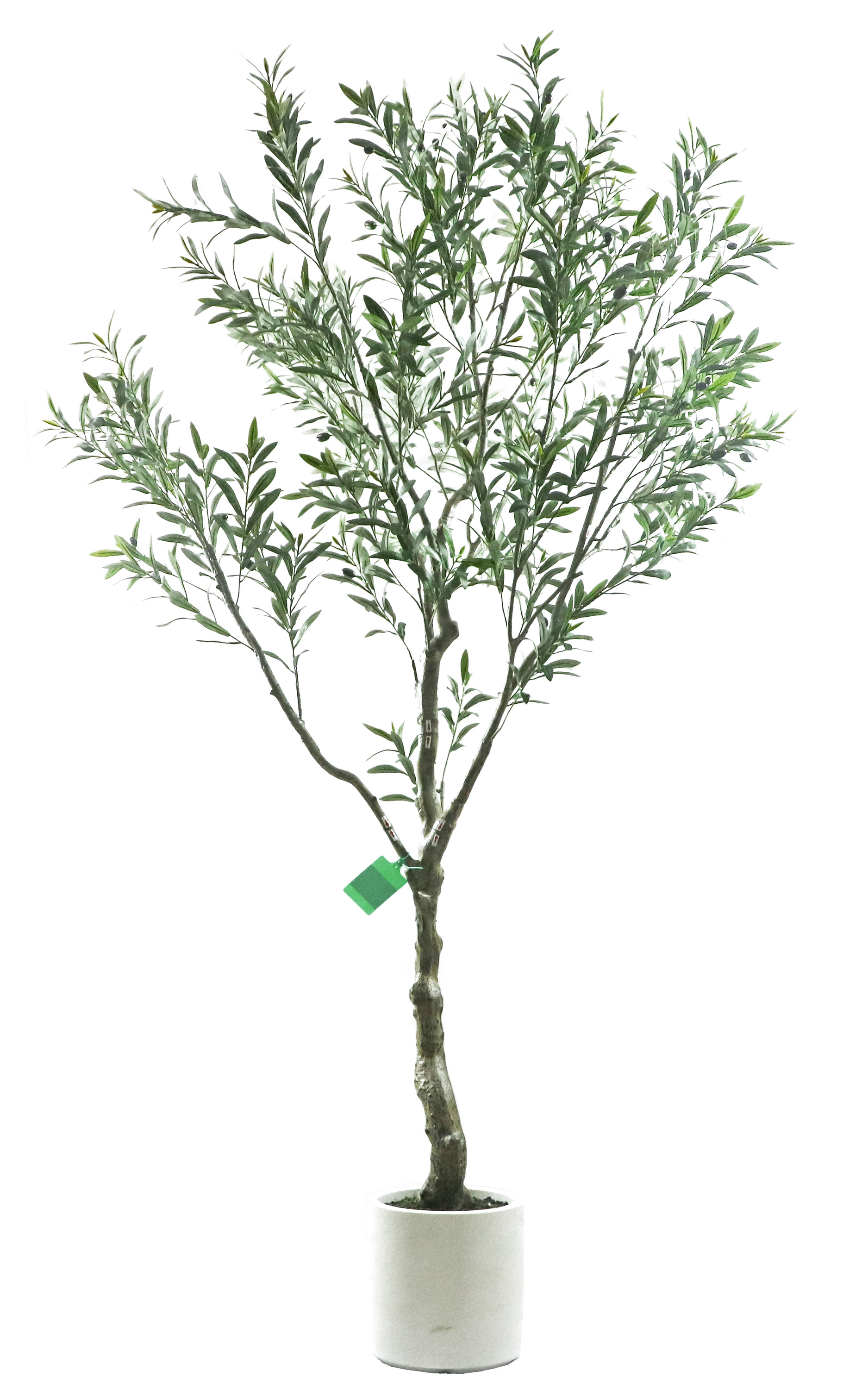 200cm