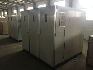 Incubateur 3-en-1 à Trois Chariots pour 12672 Œufs – Machine d'Éclosion pour Cailles, Canards, Oies et Poulets HJ-IH12672 - Product Image 4