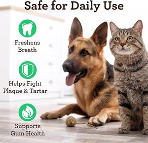 OEM/ODM additivo dentale orale per cani e gatti per mantenere sani denti e gengive, rinfresca l'alito, combatte la placca e il tartaro per animali domestici, senza problemi - Product Image 4