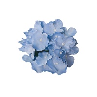 27 pièces de grandes fleurs artificielles en soie d'hortensia pour arrangements d'allée, décorations de salle, embellissements de plafond et extérieur