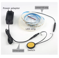 Capteur intelligent pénétrable DC12V 24V 5A 60W pour interrupteur tactile de panneau en bois pour éclairage LED d'armoire