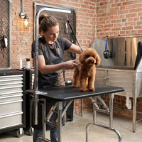 Table de toilettage pour animaux de compagnie pliable et portable AP-811, table pour chien ultra-légère, table de toilettage pour chien légère