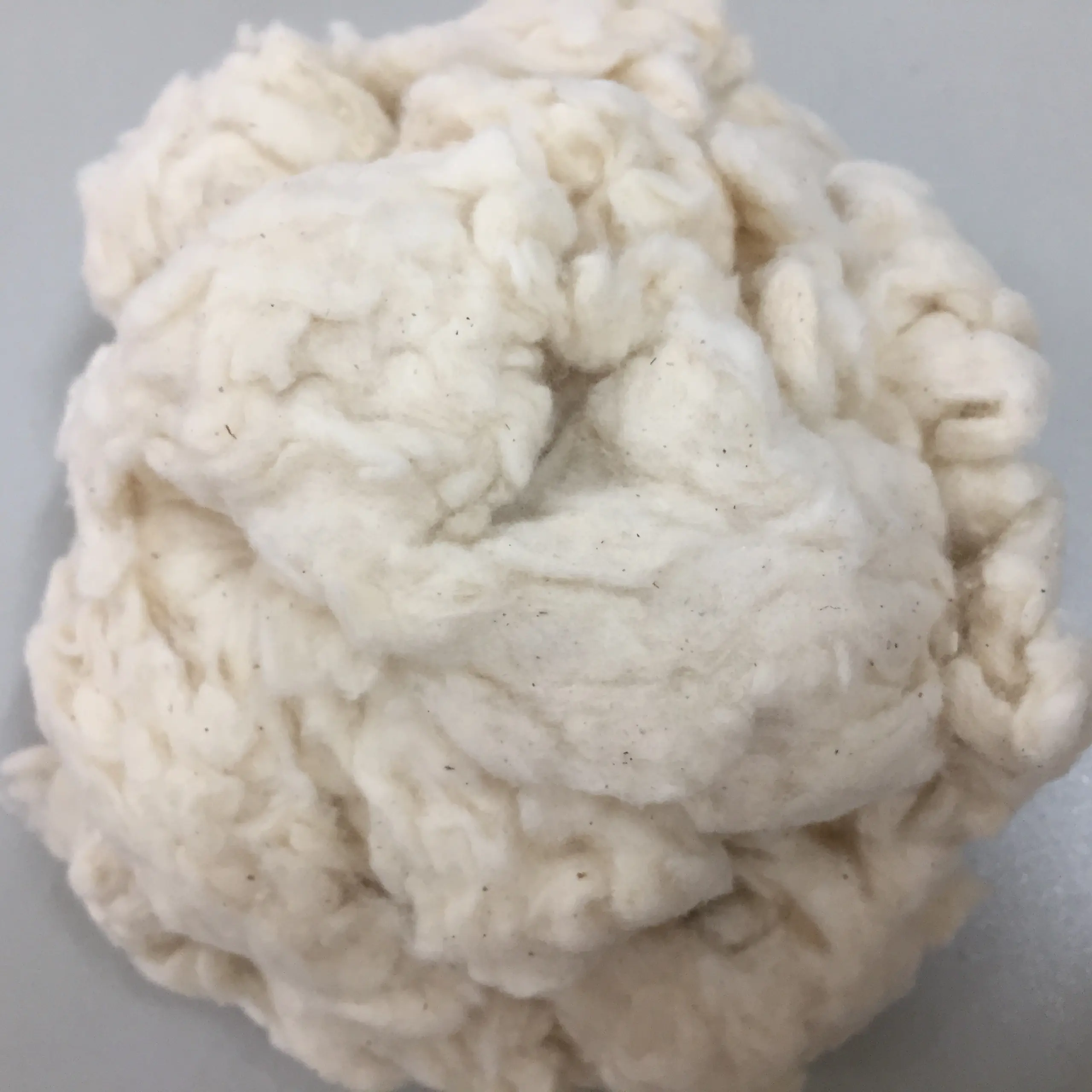 Textile Waste Yarn廃棄物 (Cotton/Polyester/Poly-Cotton) 白と混合色交渉価格と高速配信-Ms. Mira