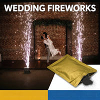 200g Titanpulver für Kaltfunkeneffektmaschinen – Spezialeffekt für Hochzeiten, Events, Partys und Gender-Reveal-Partys
