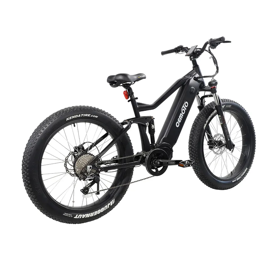 Logotipo personalizado 750 W 1000W Ebike Potente fuera de carga Bicicleta eléctrica Nueva alta velocidad 26 "Fat Tire Bicicleta eléctrica para adultos