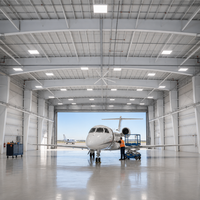 Hangar à avions à grande portée en structure métallique pour les installations de stockage aérien et les projets de construction