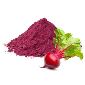 Healthy Beverages Beetroot Superior Natural Red Beetroot Powder with Private Label