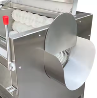 Professionele Artisjok Schil- en Wasmachine Industriële RVS Groenteschiller en -wasser voor de horeca