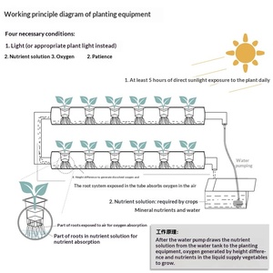 อุปกรณ์ปลูกผักไฮโดรโปนิกส์แบบระเบียงบ้าน ปลูกแบบไร้ดิน ปลูกผักสลัด ผักกวางตุ้ง ผักใบเขียว แบบสองด้านแปดหลอด อัตโนมัติ - Product Image 4